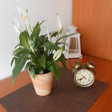 Apartmán Panoramico